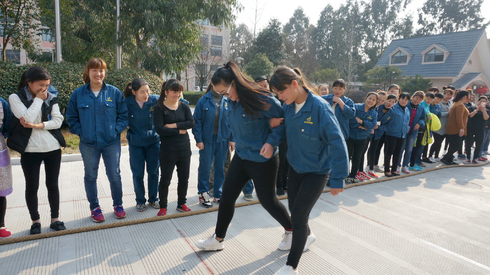 1489220372728595Zm29.jpg DSC05905-2.jpg